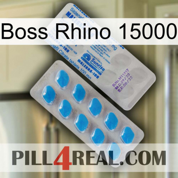 Boss Rhino 15000 new15.jpg